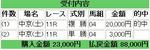 金鯱賞 2008.JPG